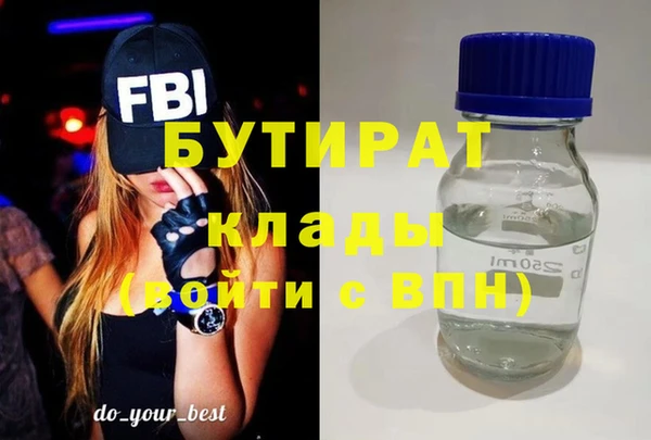 индика Елабуга