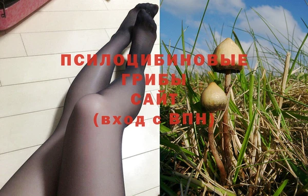 индика Елабуга