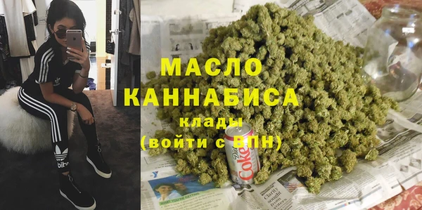 индика Елабуга