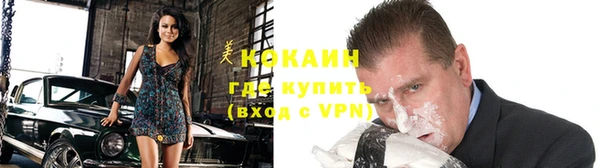 индика Елабуга