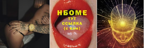 индика Елабуга