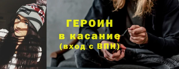 индика Елабуга