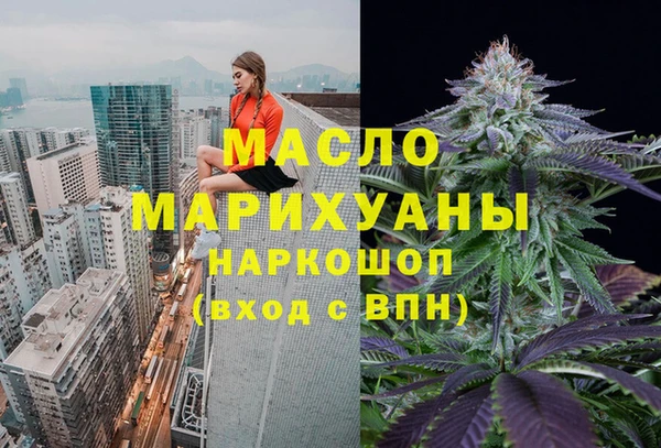 индика Елабуга
