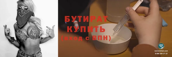 индика Елабуга