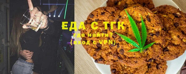 индика Елабуга