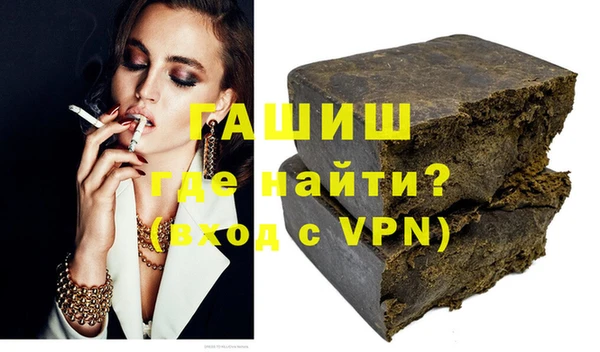 индика Елабуга