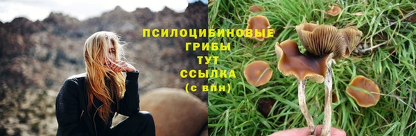индика Елабуга
