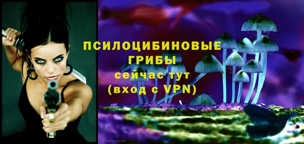 индика Елабуга