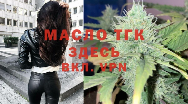 индика Елабуга