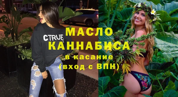 скорость Ельня
